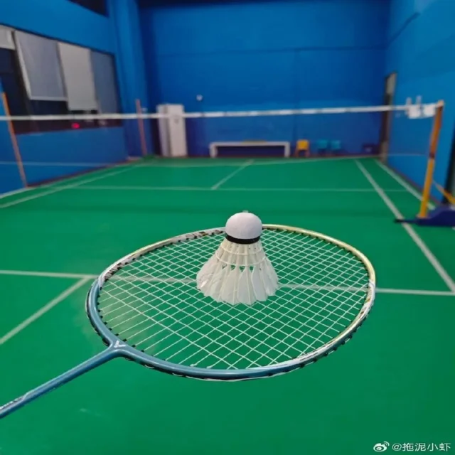 世界杯赛前训练动态分析及球队备战亮点